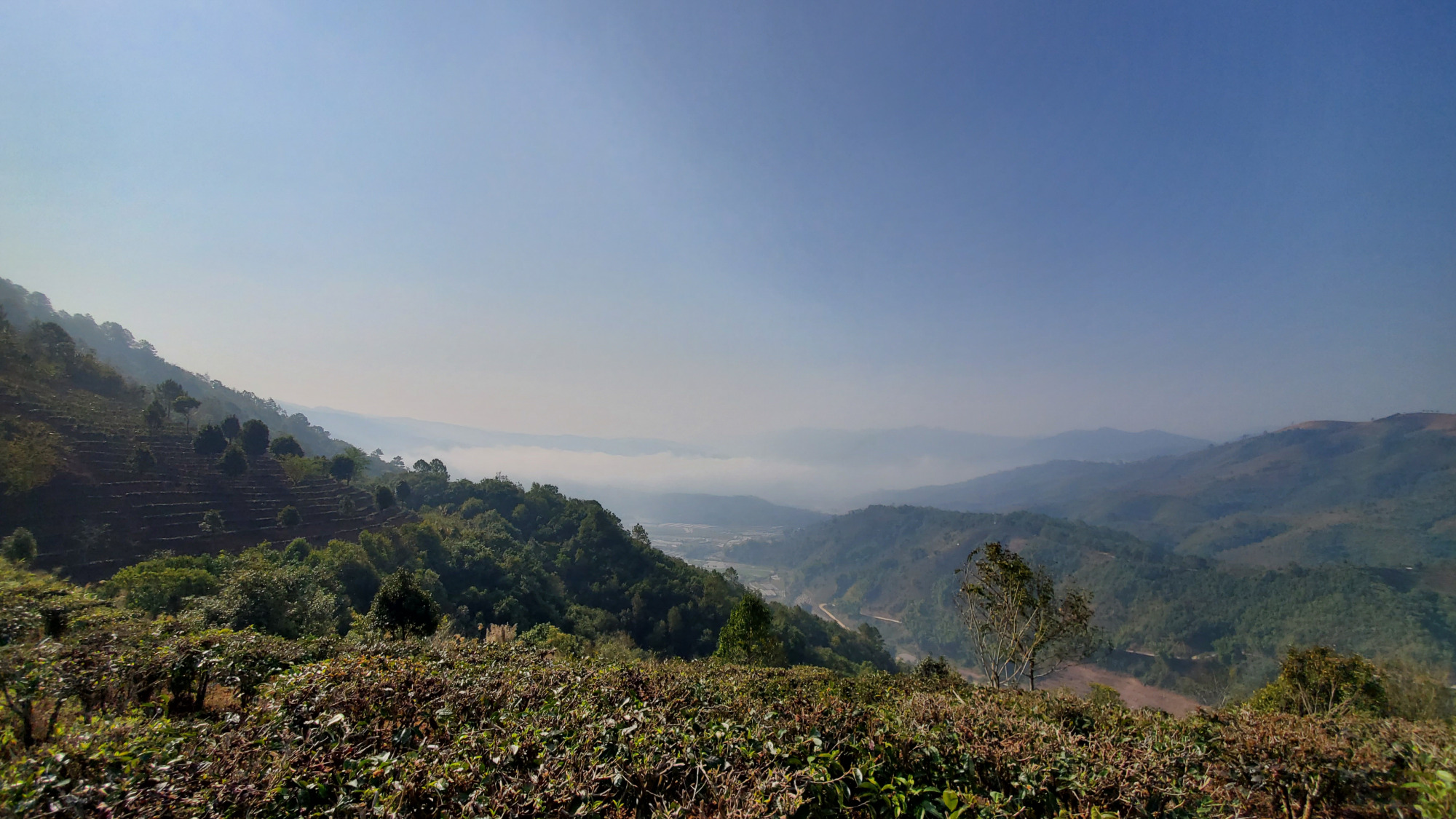 往茶山深处,暗香浮动是普洱|探寻云南拉祜族村寨老达保之二