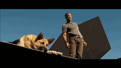 一人一狗一群丧尸,值得二刷的威尔史密斯经典末世电影