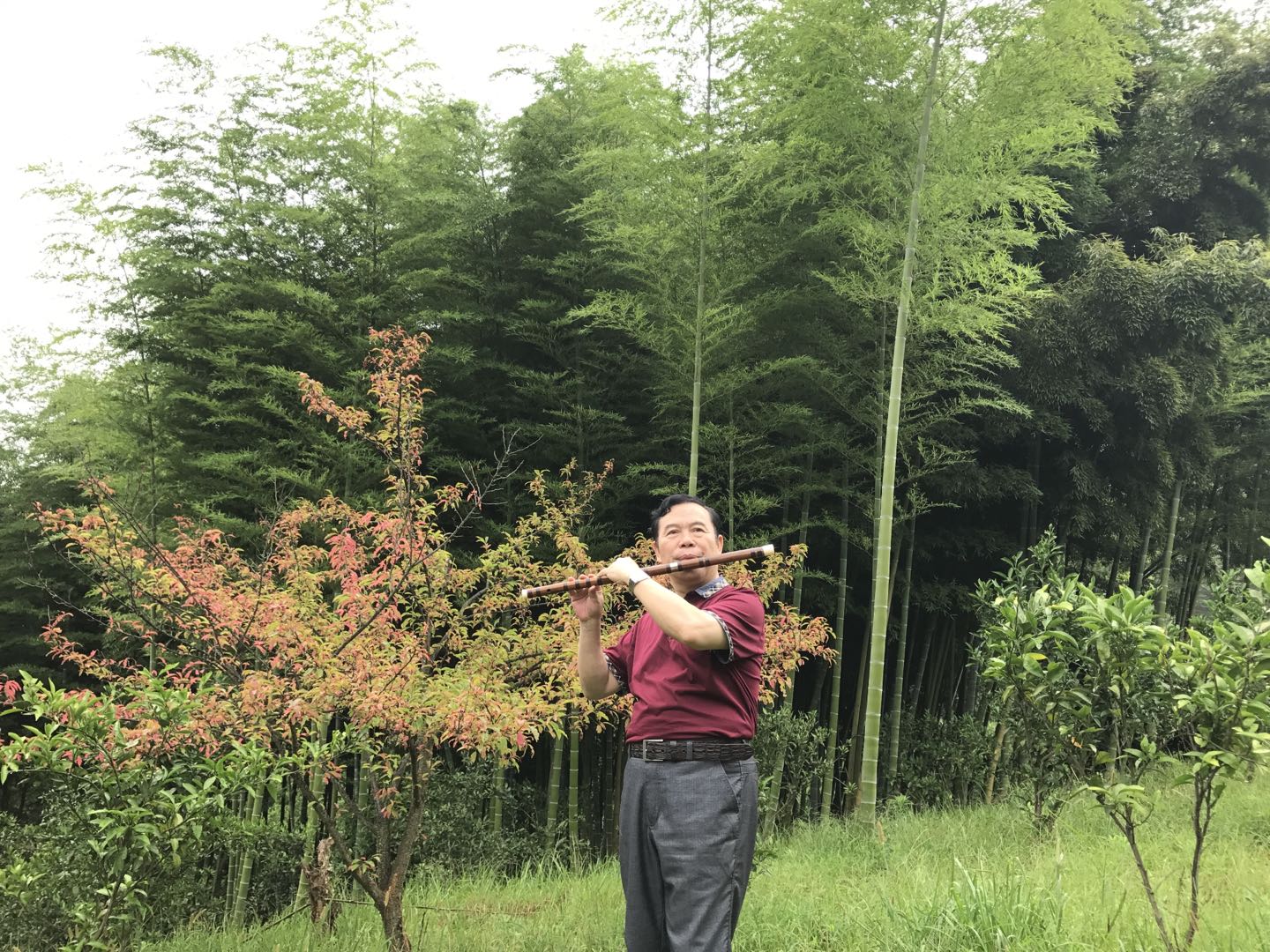 飘渺孤鸿影,永铭恩师涂传耀先生