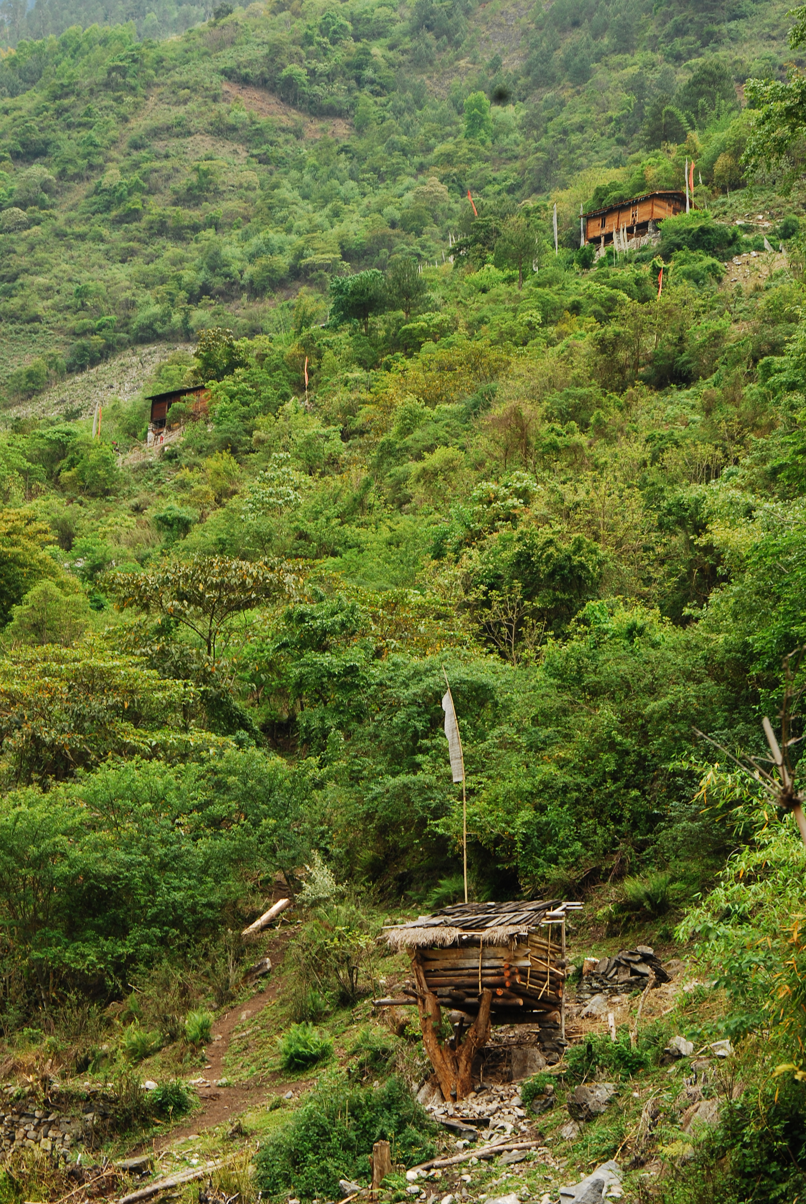 墨脱甘登天气预报_(西藏林芝市墨脱县天气预报)