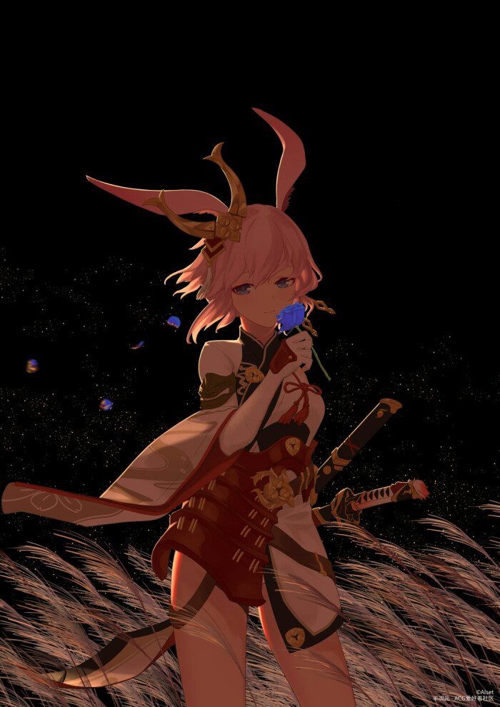 八重樱图集,只缘感君一回顾,使我思君朝与暮