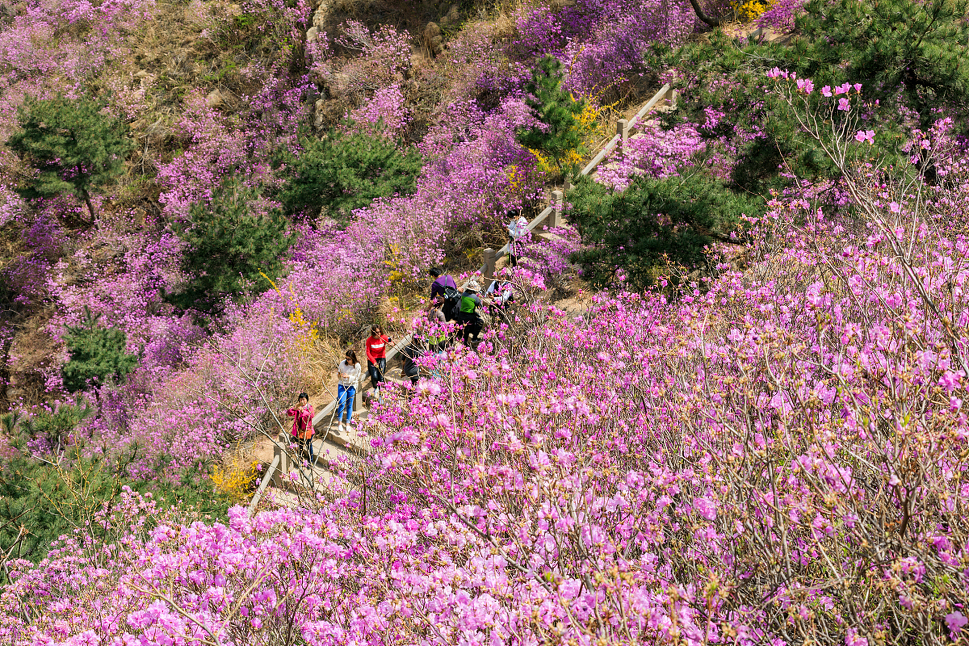 今天我参观了大珠山风景区,真的是一个非常美丽的自然风景区.