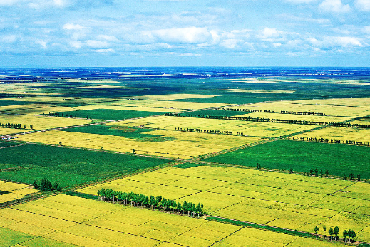 三江平原广阔低平的地貌,降水集中夏秋的冷湿气侯,径流缓慢,洪峰突发