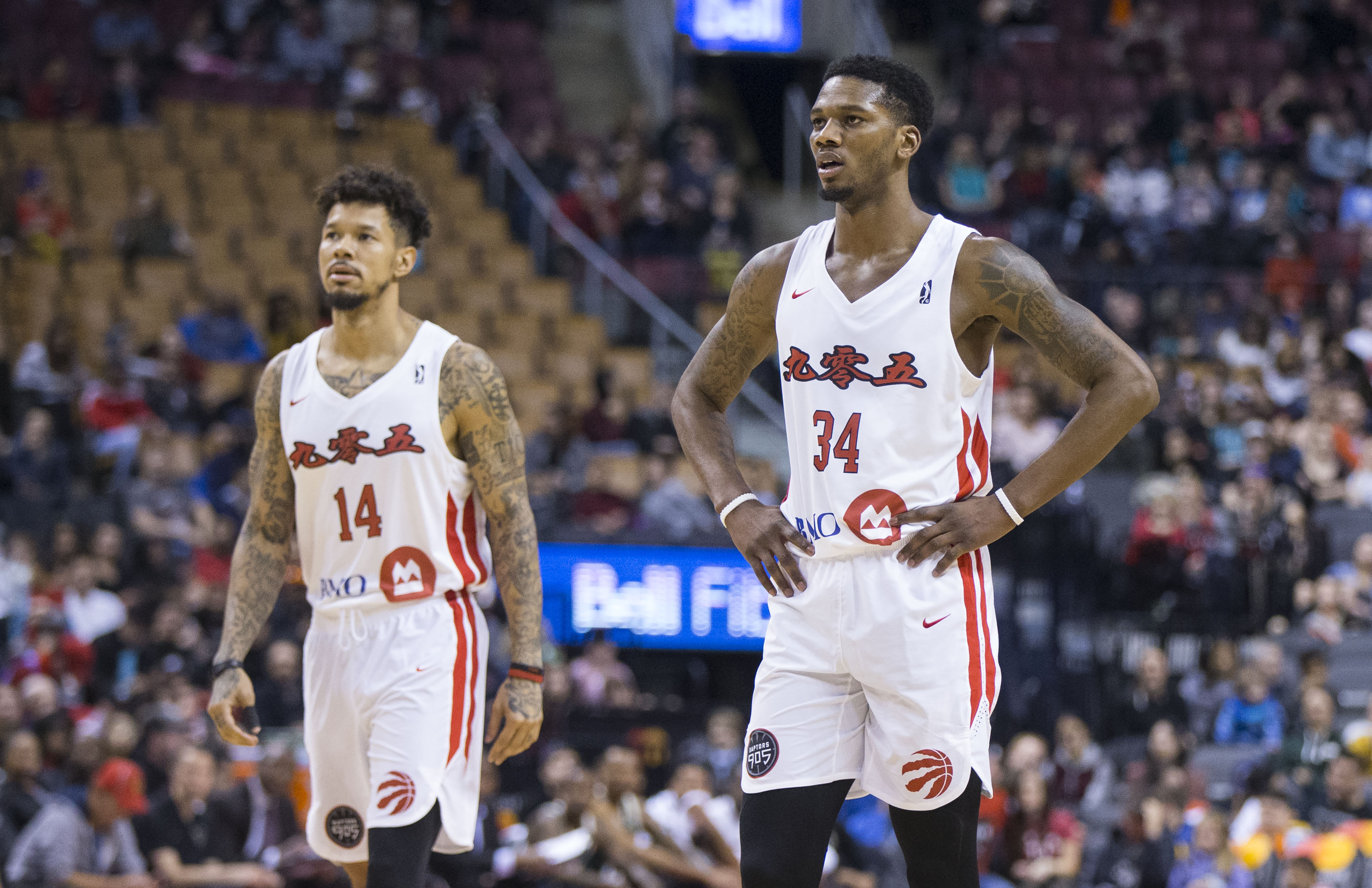 (体育)(1)篮球——nba发展联盟猛龙905队推出首款中文球衣