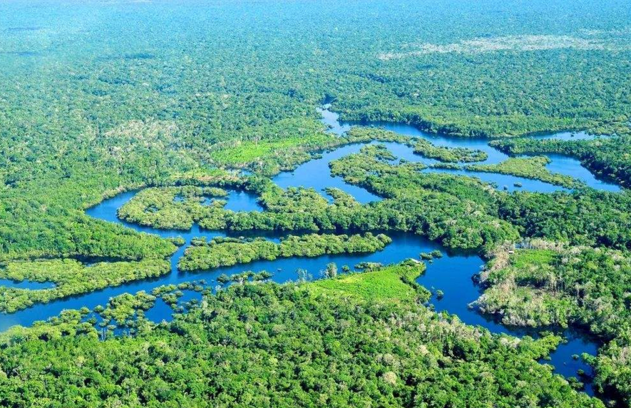 关于亚马逊雨林你不知道的十件事