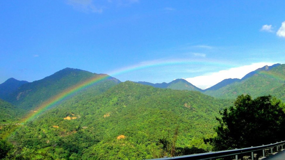 南昆山国家森林公园:山高林密,植物种类众多,四时之景