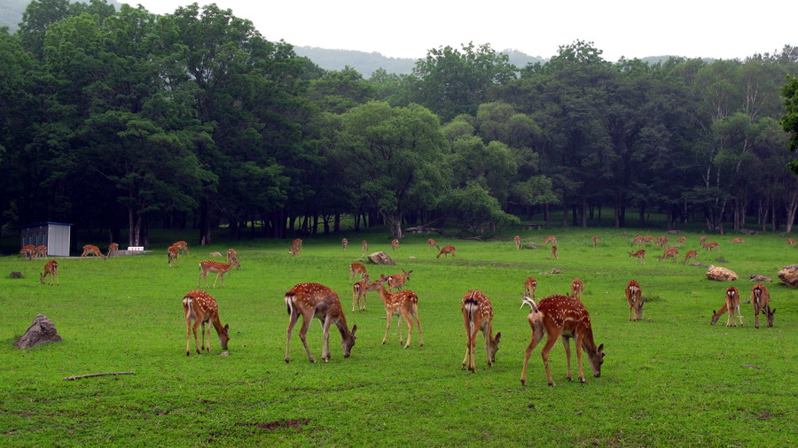 细数风景非常美的旅游休闲场所,杭州北高峰,三亚蜈支洲岛自然也在其中