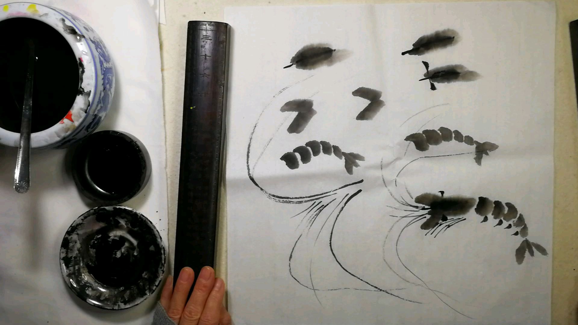 国画入门动物篇零基础教程。第十二章河虾:分步骤讲解