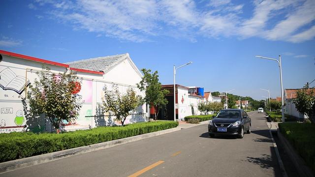 朱台镇党员暖心志愿服务:"包"在党员身上 "美"在群众心底