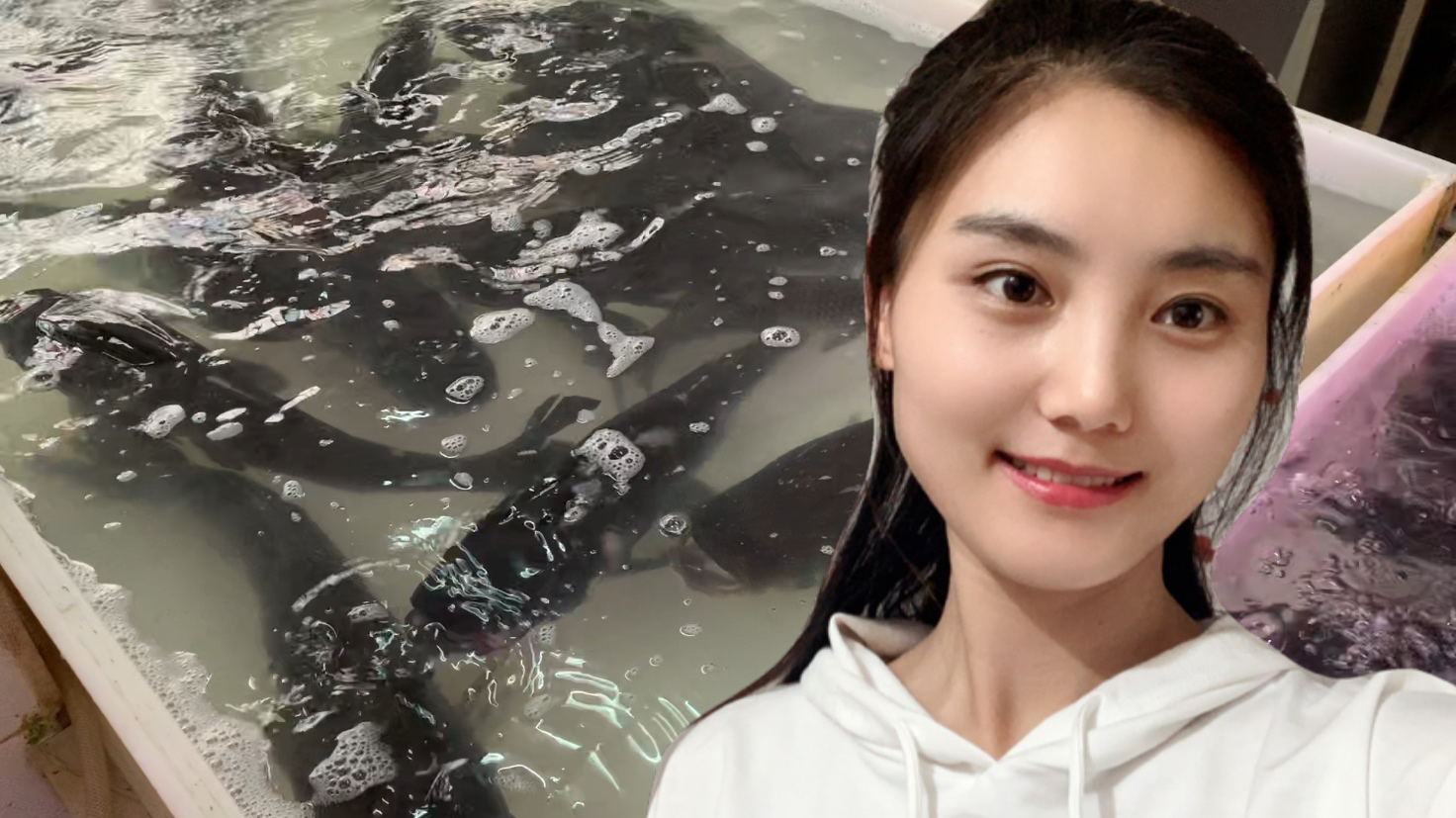 妹子买了条草鱼,回家发现是福寿鱼,去菜市场找老板理论结果如何