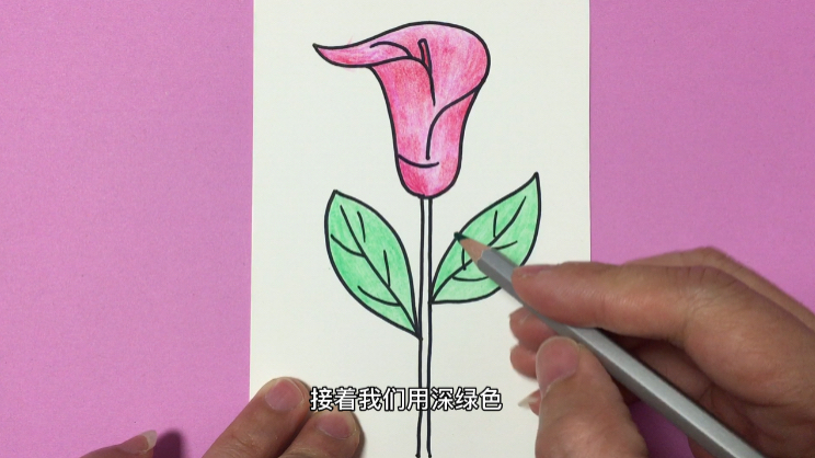 儿童简笔画,色彩花朵画法,看看能画得多么美丽漂亮