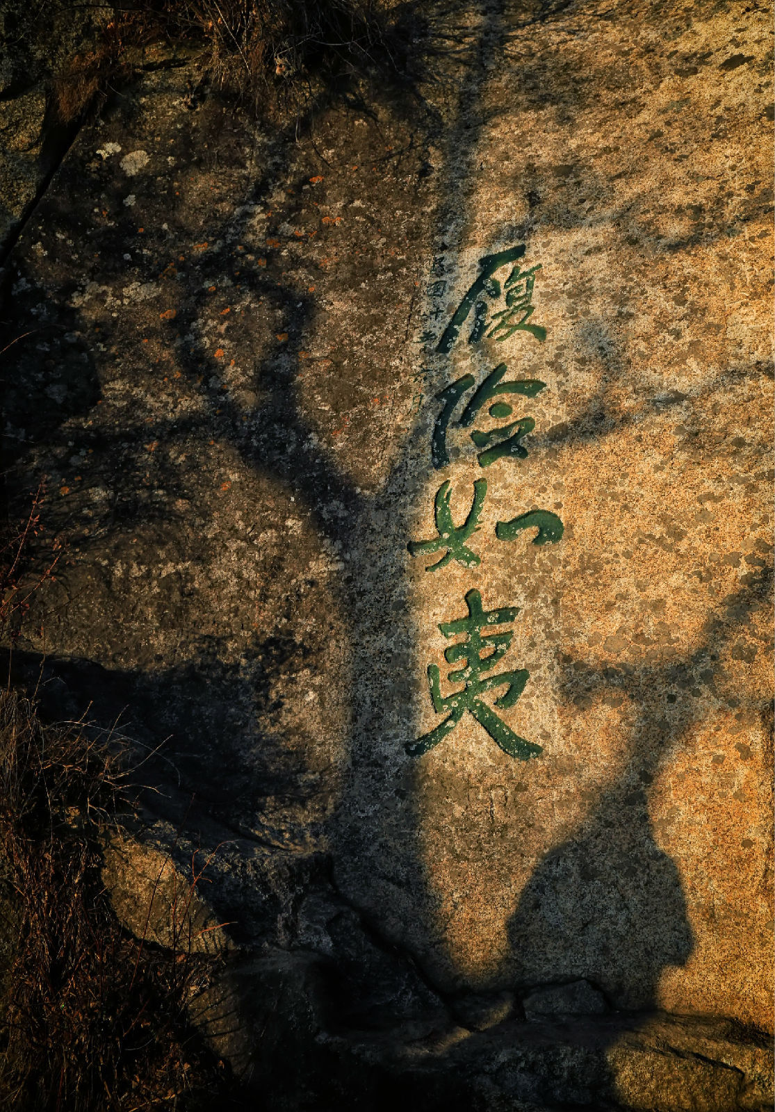 你只知道华山险要,却不知道它还有很多秘密,这些轶闻超乎想象