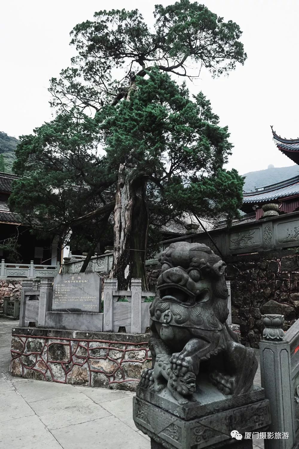 千年古剎,寧波天童禪寺,天下禪宗五山之一,日本曹洞宗祖庭