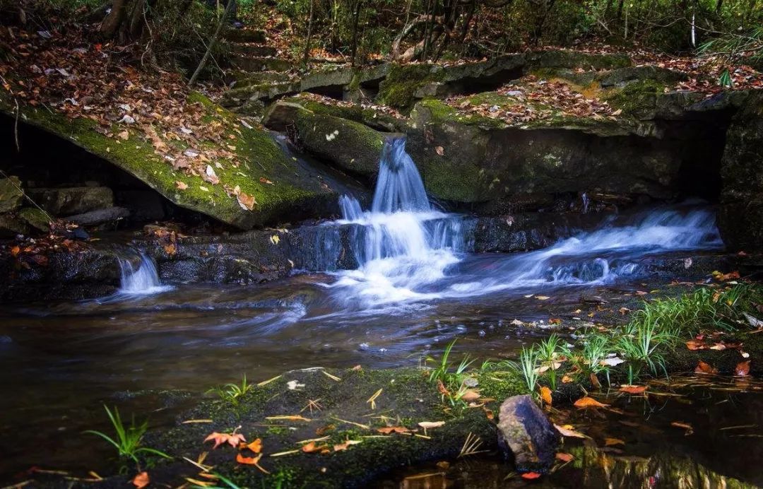 树林间的小溪流水声