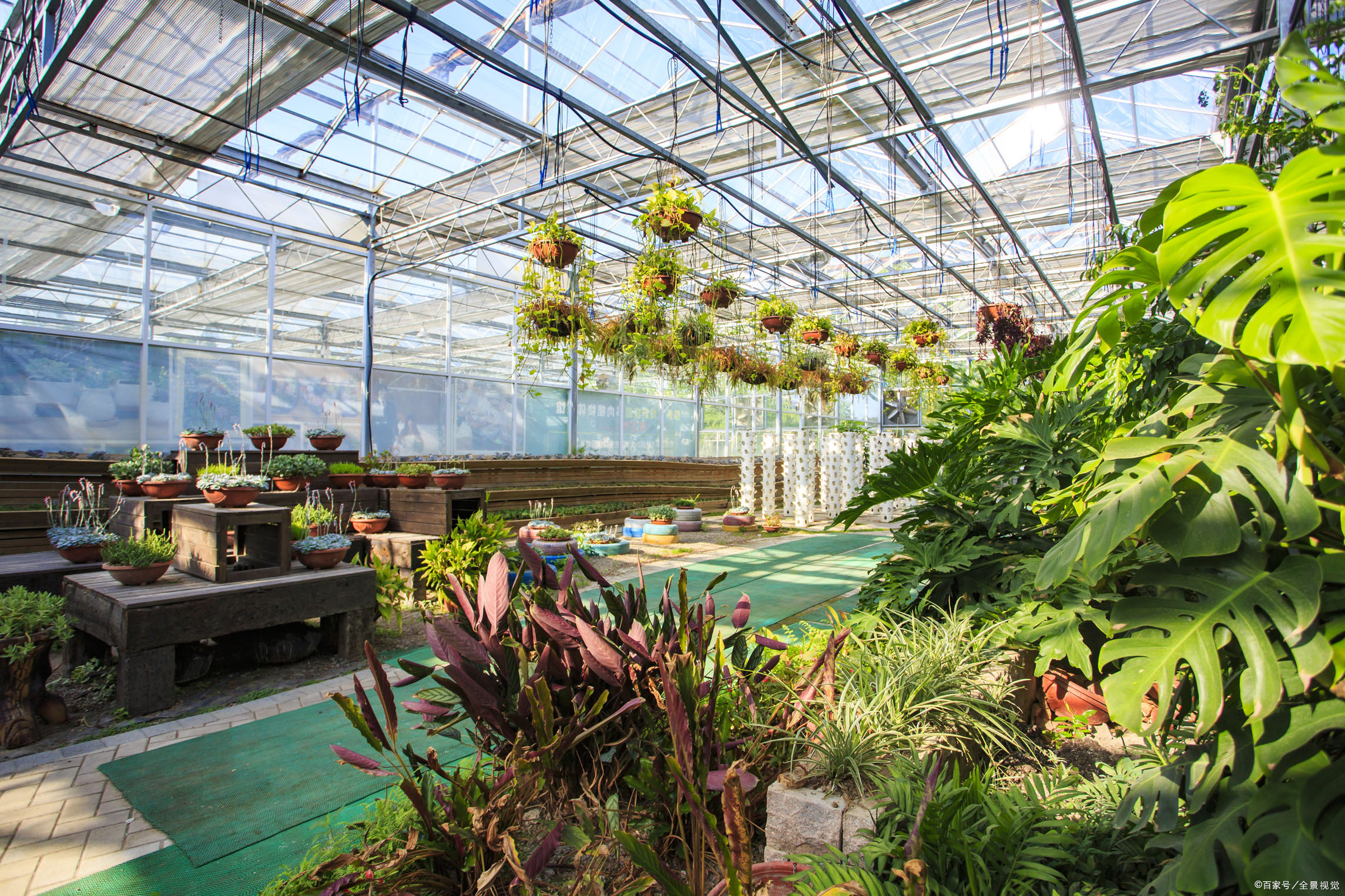 而且已经取得了不错的效果,相信随大棚行业的发展,智能温室大棚的应用