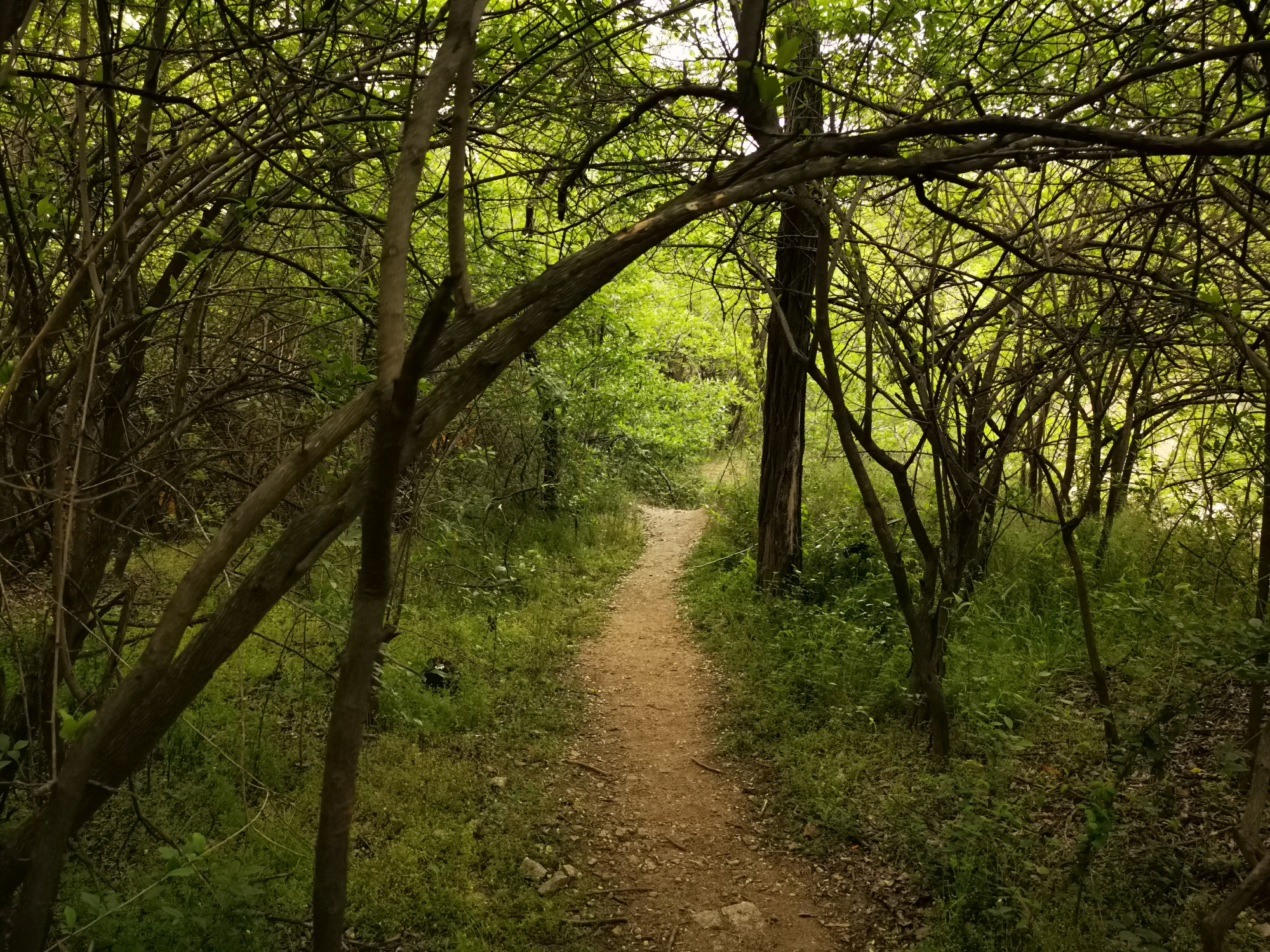 你不知道的蚌埠之锥子山水