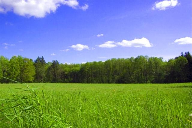 俗语"4大白,4大绿,4大急",指的都是什么?农村人很多都知道