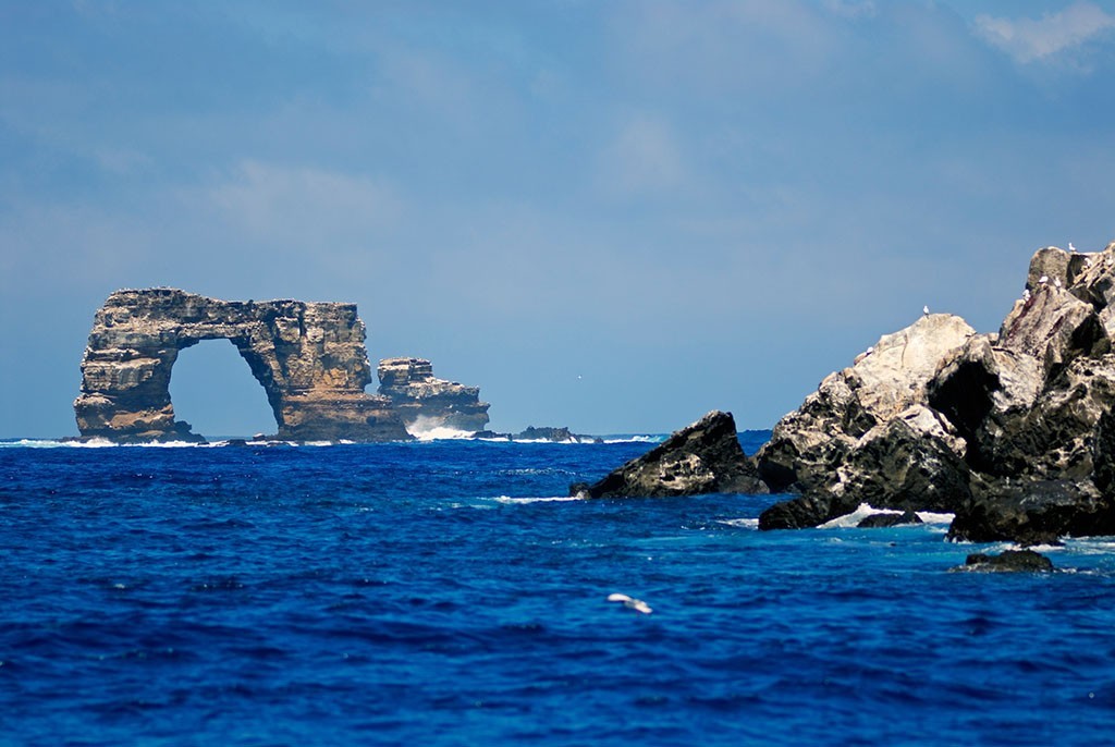 潜水人的终极目的地——加拉帕戈斯群岛