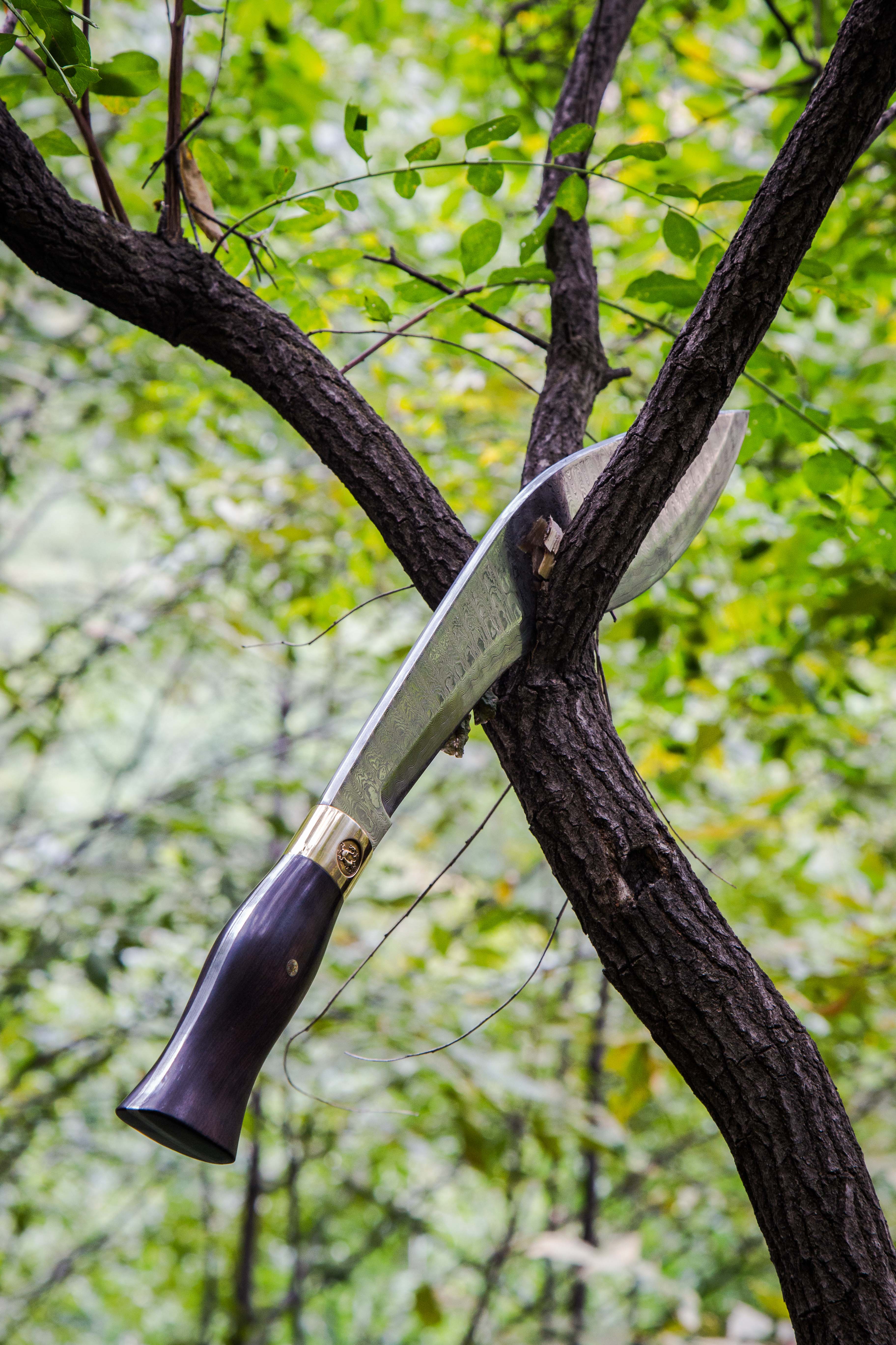 3648_5472竖版 竖屏