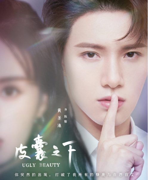 《皮囊之下》正式官宣,郑合惠子分饰两角,男主黄圣池颜值高