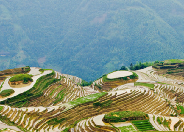 旅遊:它是平安壯寨梯田的兩大觀景臺之一,俯瞰梯田美景的好去處