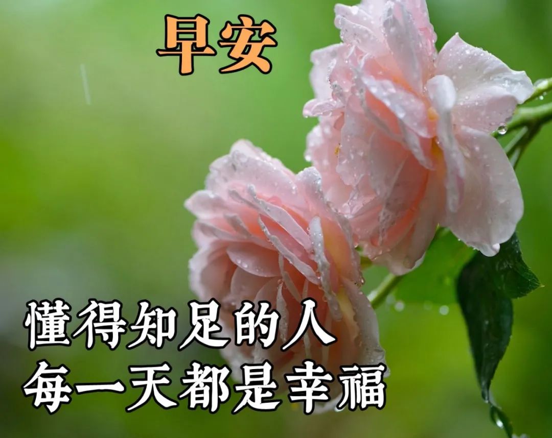 新的五月微信最好看的早安图片,早上好精辟问候语文字