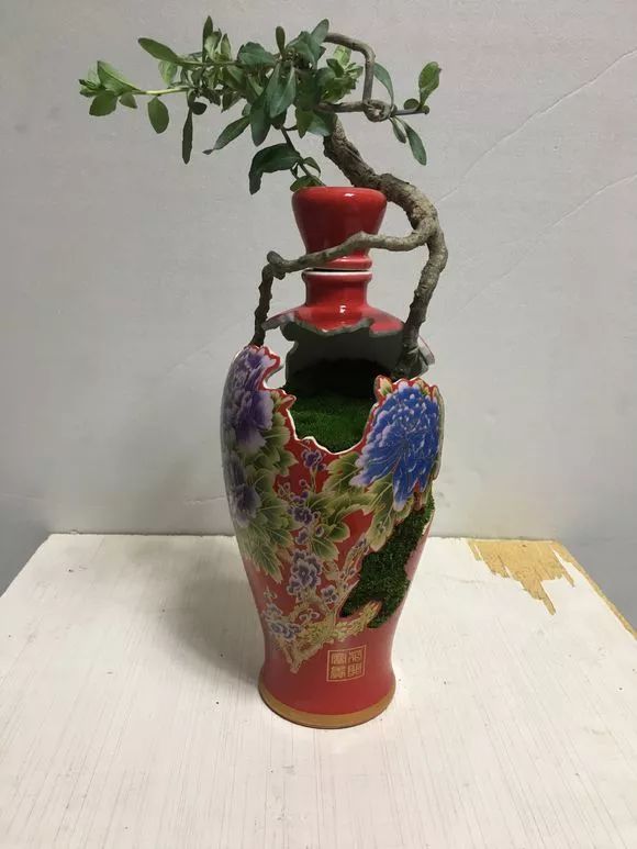 酒坛酒瓶别扔,切2刀,就是超美盆景,美死了!