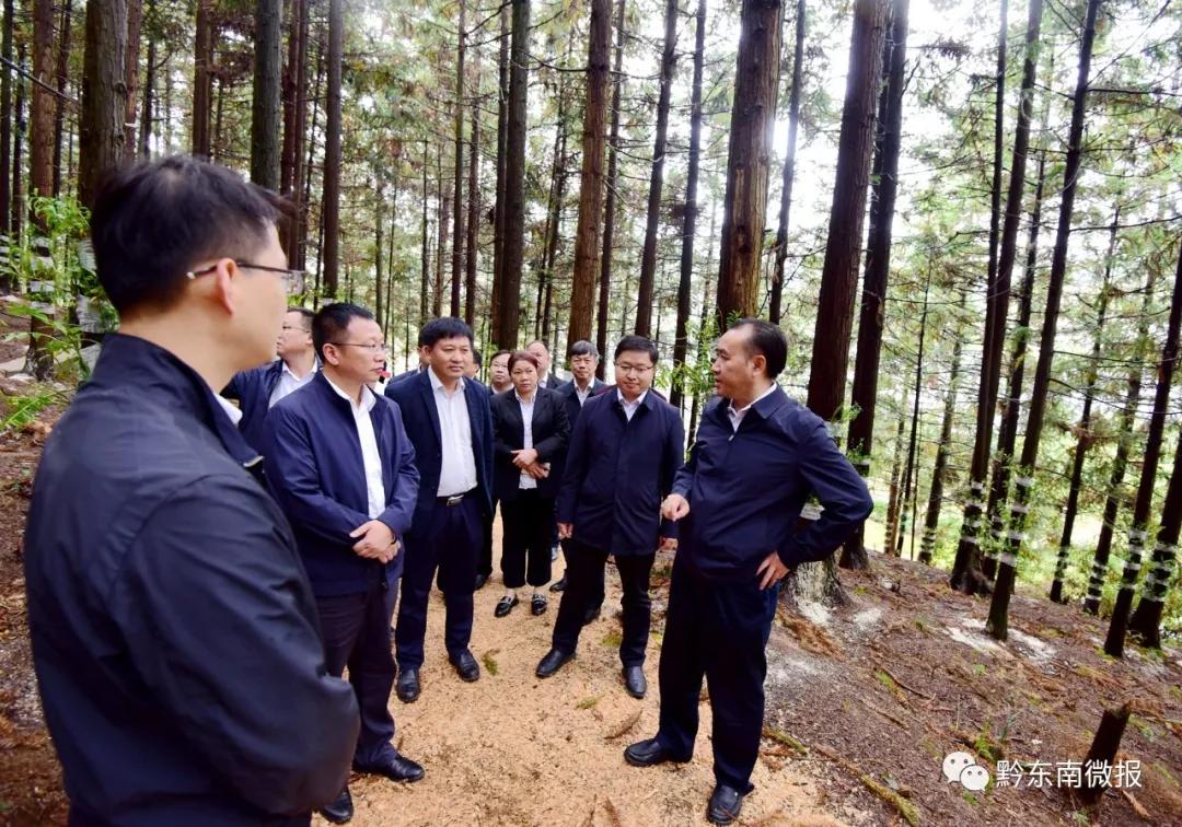 桑维亮到凯里调研就主题教育进行督促指导并征求意见