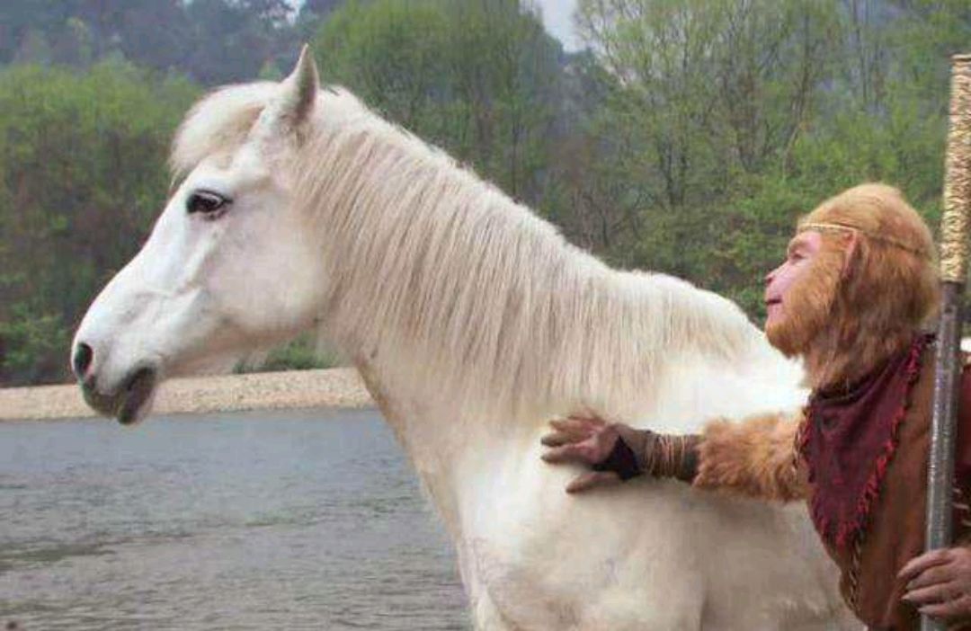 取经五人组最残忍的人是谁?沙僧吃人不算啥,他更是杀了上千人!