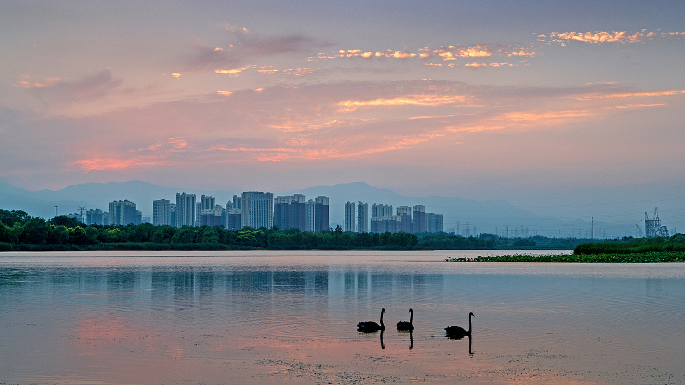 哎呀,说起辽宁铁岭的莲花湖湿地公园,#动态夏日征集令# 那可是个国家