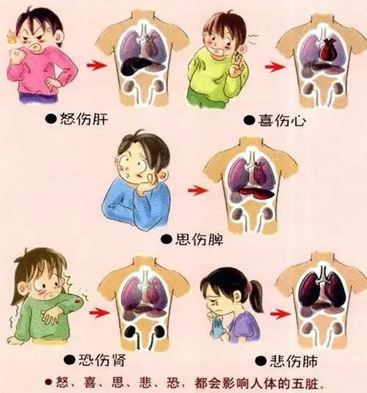 2018年度神动态#每天学点文化小知识: ①【六子全