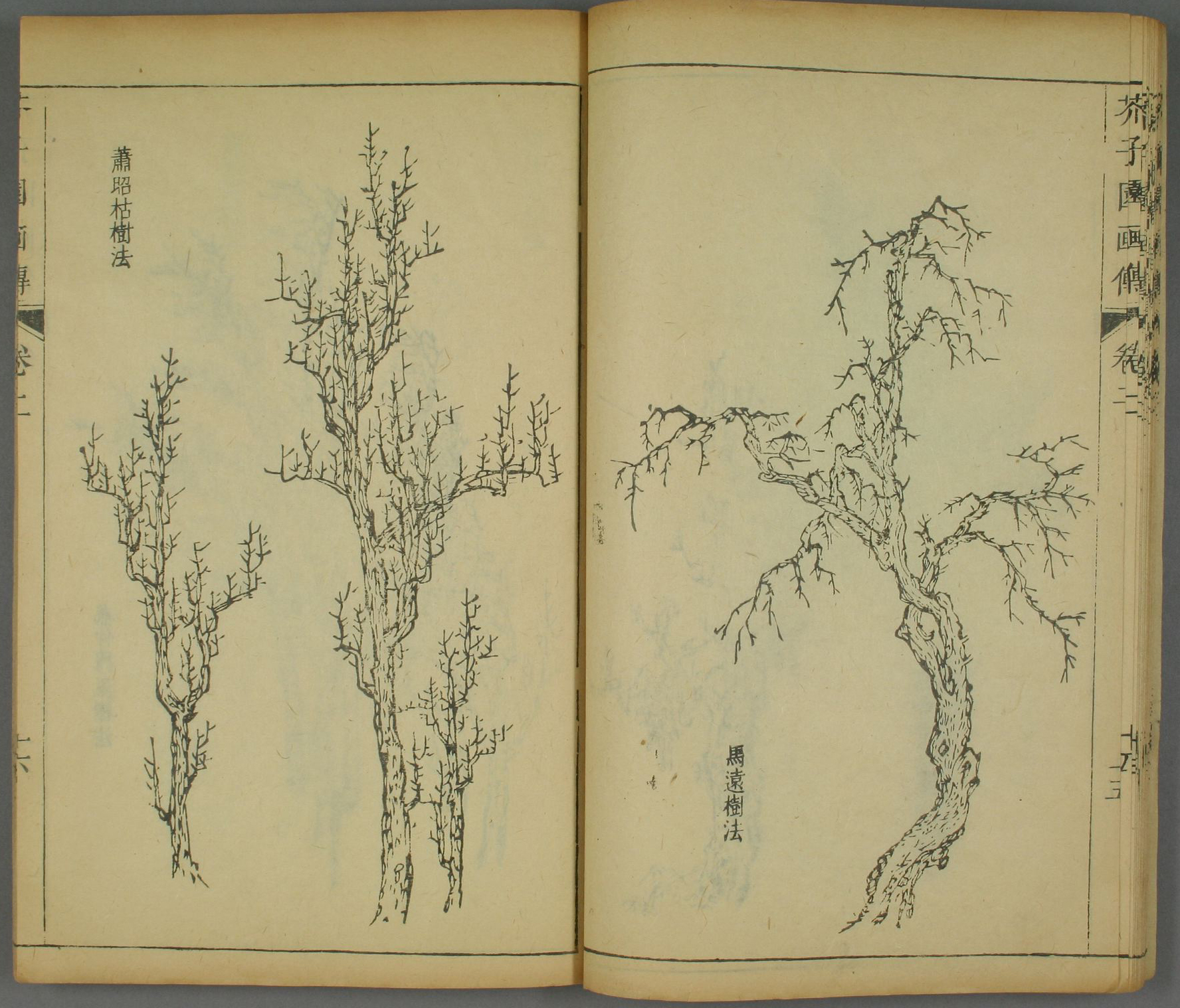 《芥子园画谱》山水篇之树谱精选高清图,学山水不可不读!