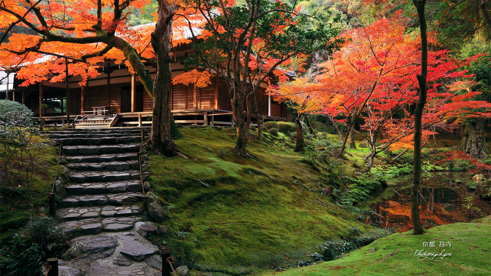 日本看历史古迹最好的城市,当年按照长安城建造,就像回到唐朝