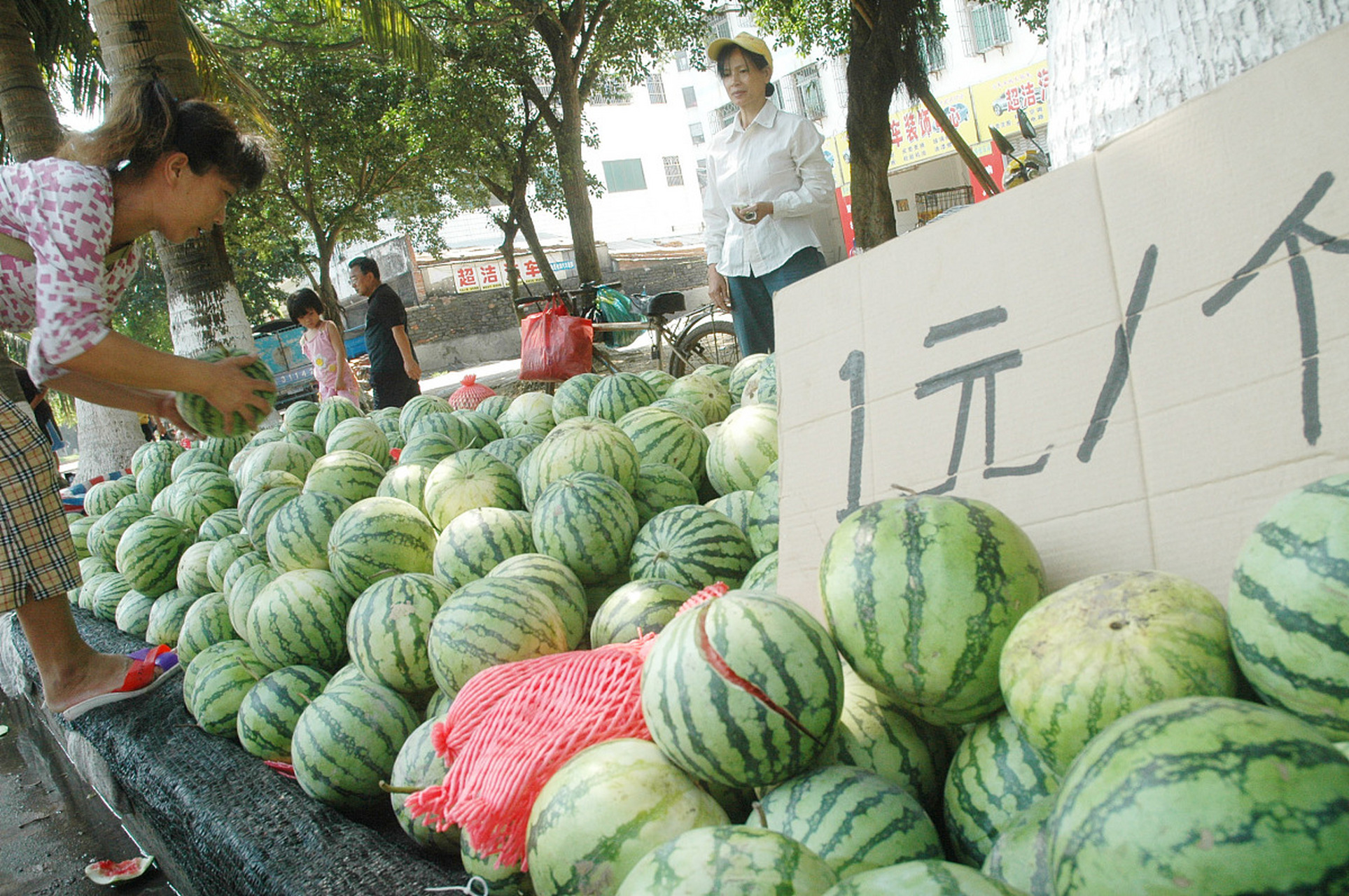 免费送西瓜比卖西瓜还赚钱  免费送西瓜每天都能赚两三千,看到这个