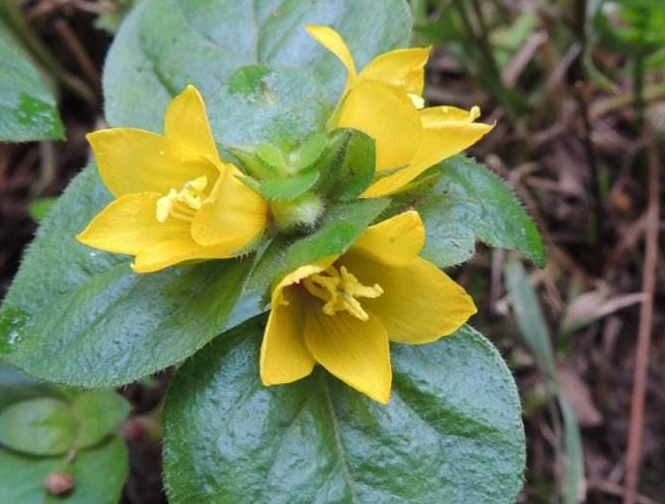 25块 - 热门商品专区