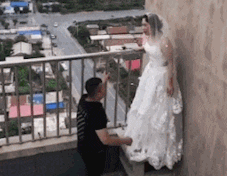 搞笑gif:现在的毛驴都这么聪明吗?都知道这样上台阶省