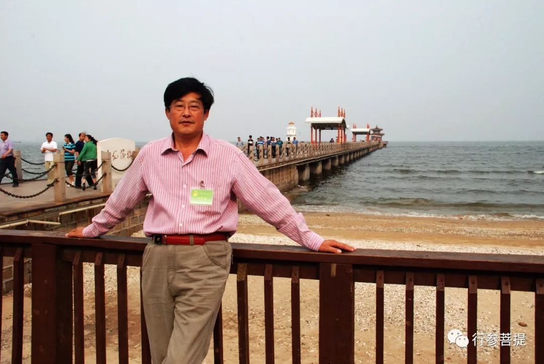 诗意棉花糖/赵连友