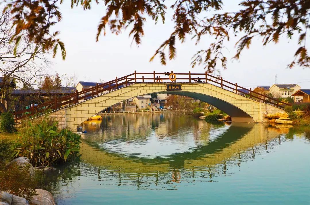 水乡的初冬,依然让人惊艳.