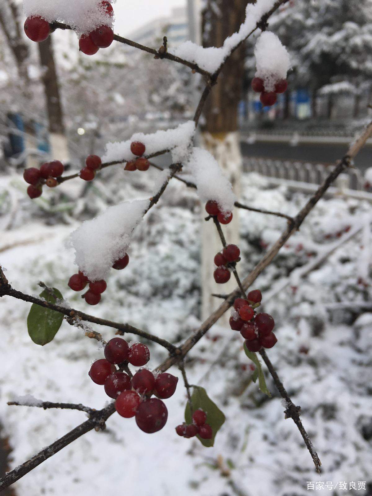 每日新闻简报(2.12) 每日新闻简报(2.12)