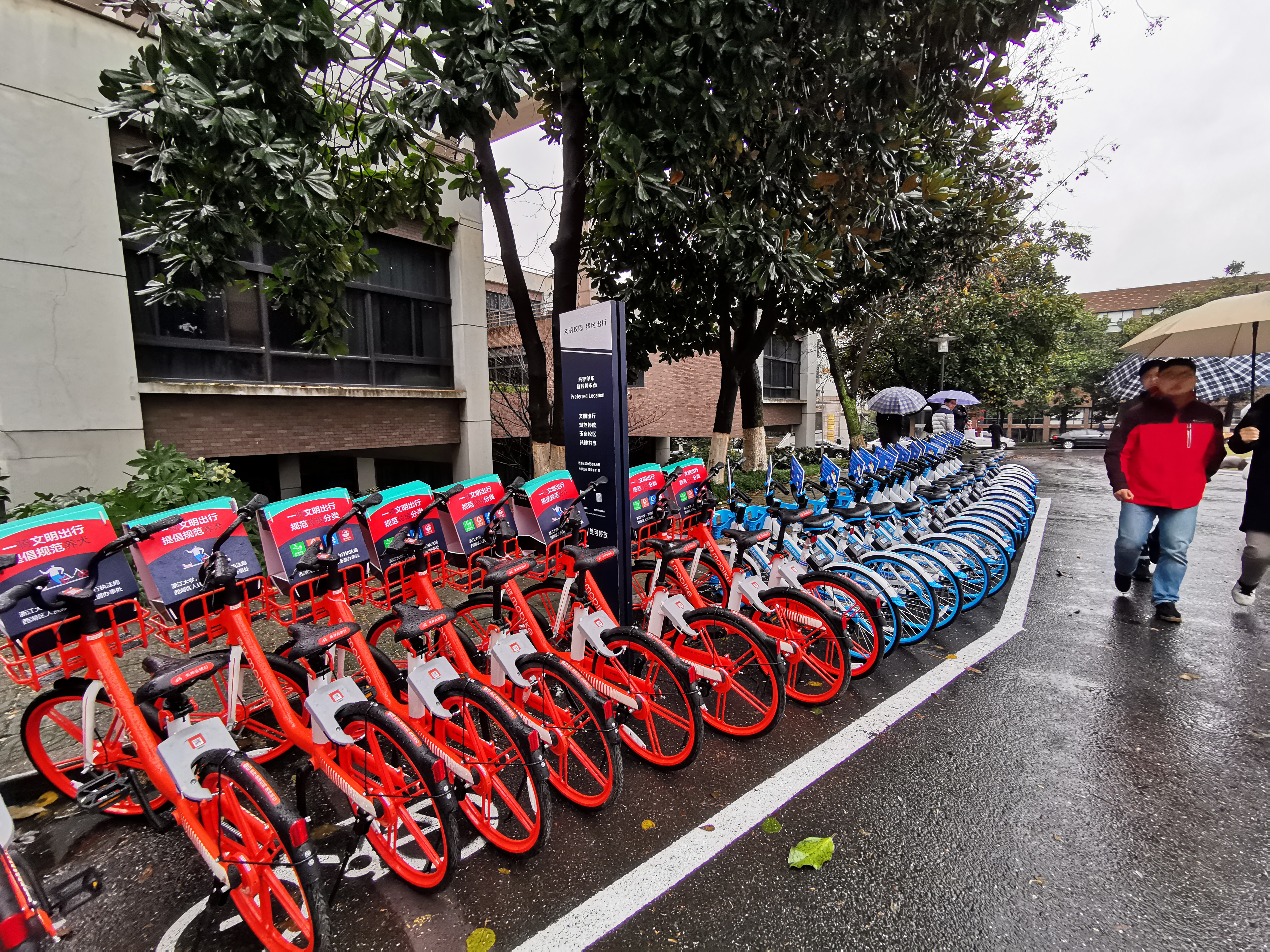 浙大玉泉校区共享单车停车点. 澎湃新闻记者 杨亚东 摄