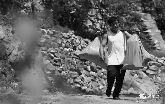 河南镇平张玉滚深山坚守17载,老扁担变身小摩托!