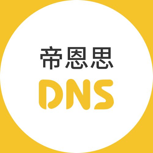 帝恩思dns