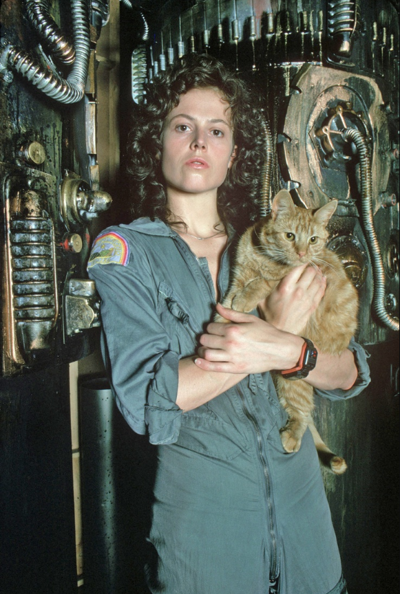 5部重口味变异生物电影集结,高能预警,胆小勿入