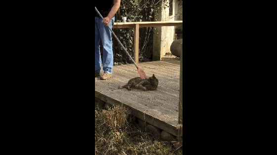 560_314gif 动态图 动图