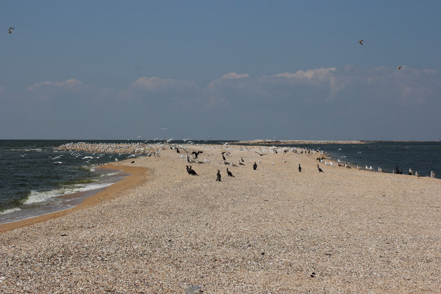 多尔然斯卡亚沙嘴度假村远离拥挤的度假胜地,是亚速海海岸的天堂