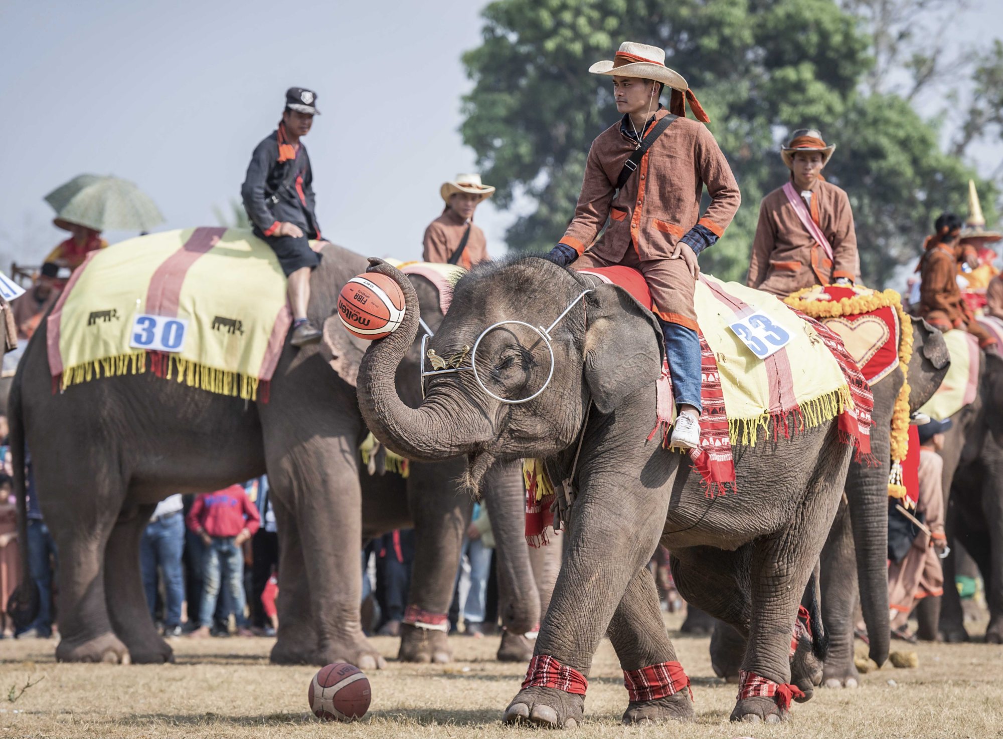 老挝举办大象节