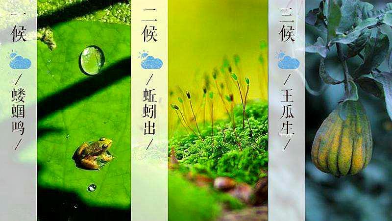 立夏   蝼蝈鸣,蚯蚓出,王瓜生