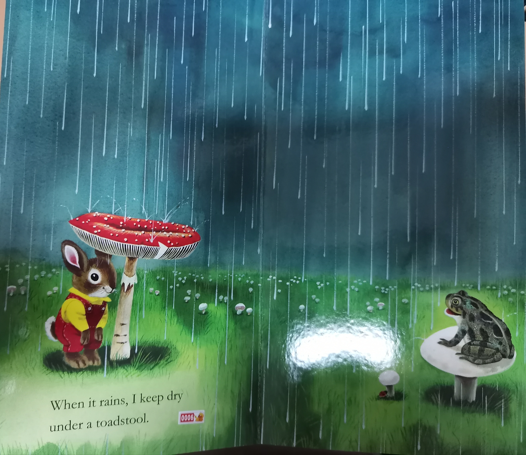 糯小米的绘本《i am a bunny》我是一只小兔子