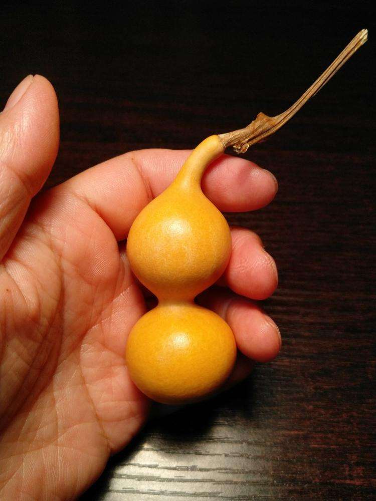 玩手捻葫芦最重要的不是包浆,而是挂瓷儿,文玩葫芦如何挂瓷儿?