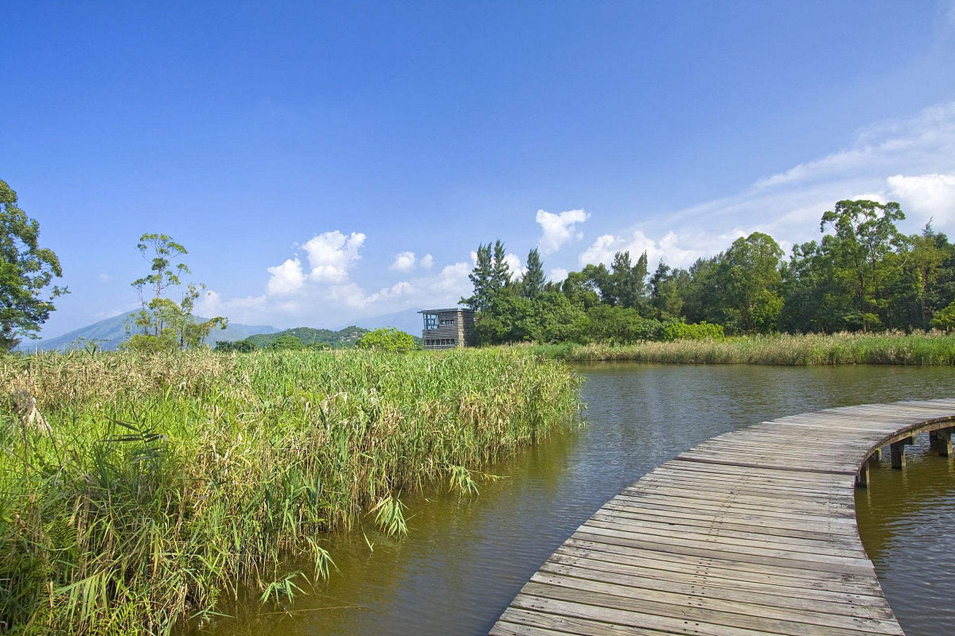 奔赴春天的旅行# 春日的阳光温暖而明媚,石狮湿地公园内绿意盎然
